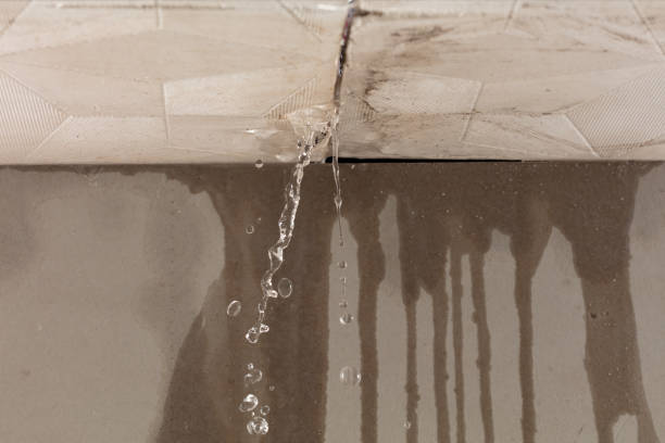 Professional Structural Drying technician working in Wheatland, OK